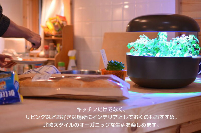 楽天市場】自動水循環システム搭載 水耕栽培キット Plantui 6