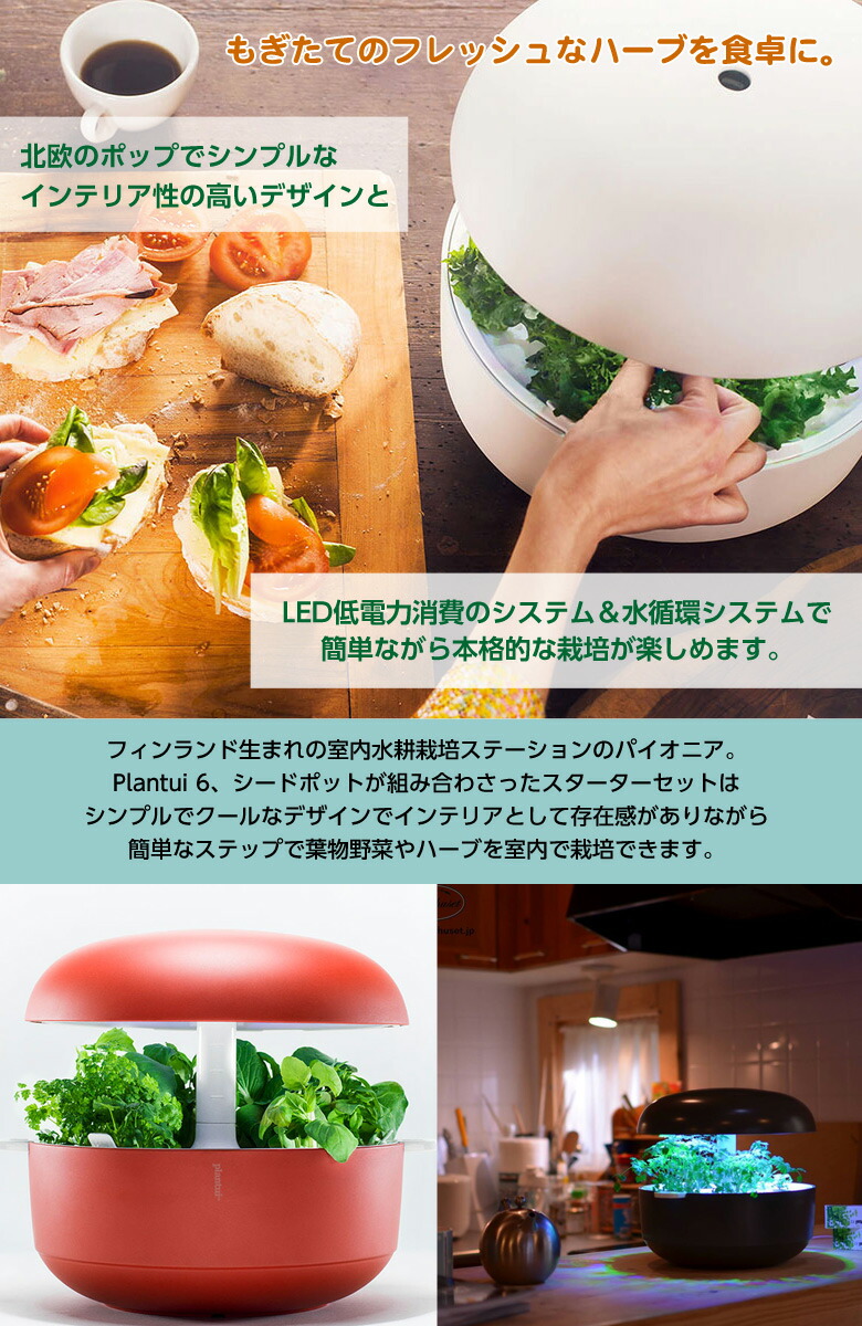 楽天市場】自動水循環システム搭載 水耕栽培キット Plantui 6