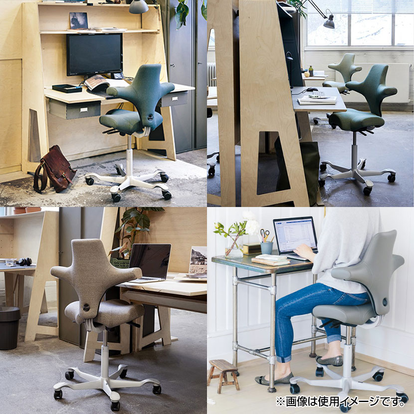 楽天市場】【5日11時〜4時間限定P5倍】CP8106-150 1 HAG CAPISCO