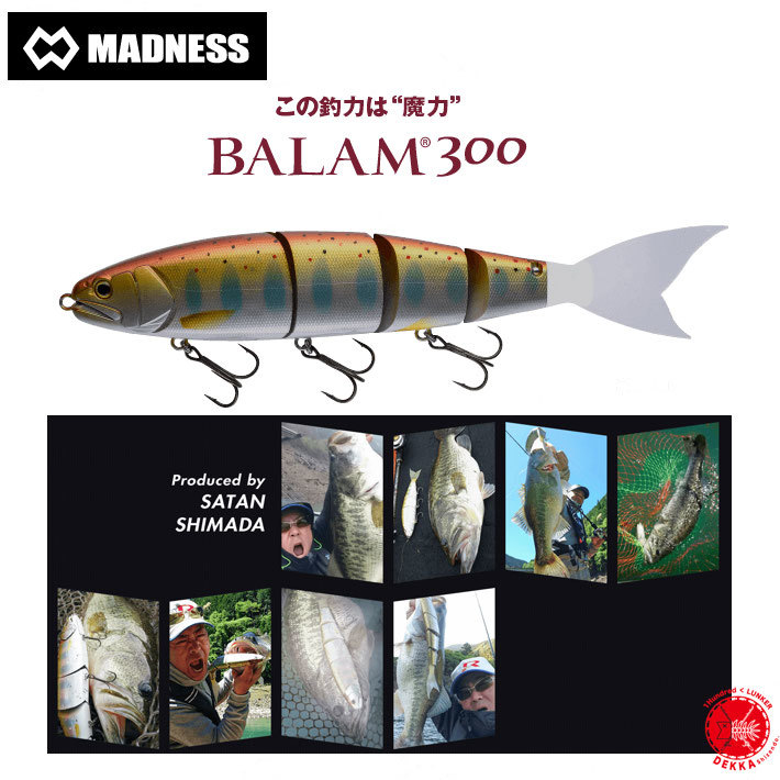 楽天市場】MADNESS JAPAN / マドネスジャパン 【 BALAM 300 / バラム