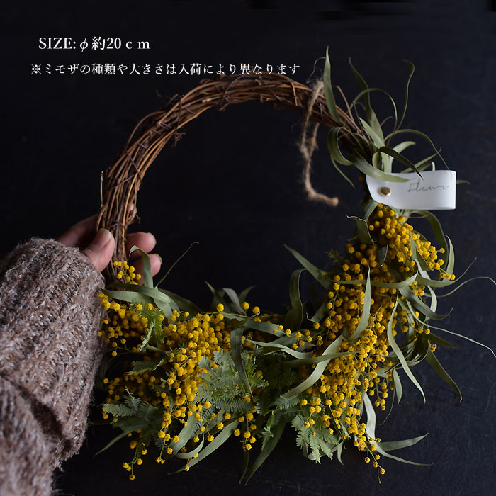 楽天市場】【 ミモザ 生花 リース】生花からドライを楽しむミモザ