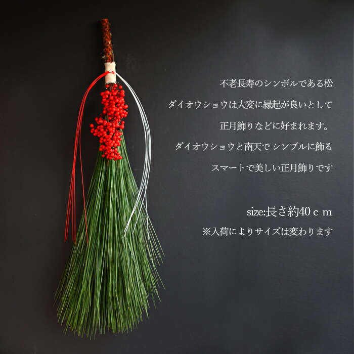 楽天市場】【2025年完売しました！ありがとうございます！】ドライ