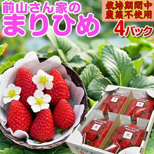 楽天市場】ポイント20倍大還元！前山さん家のまりひめ！2/4パック入り