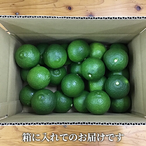 楽天市場】国内唯一の有機JAS認証栽培かぼす 大分県産カボス青果2kg