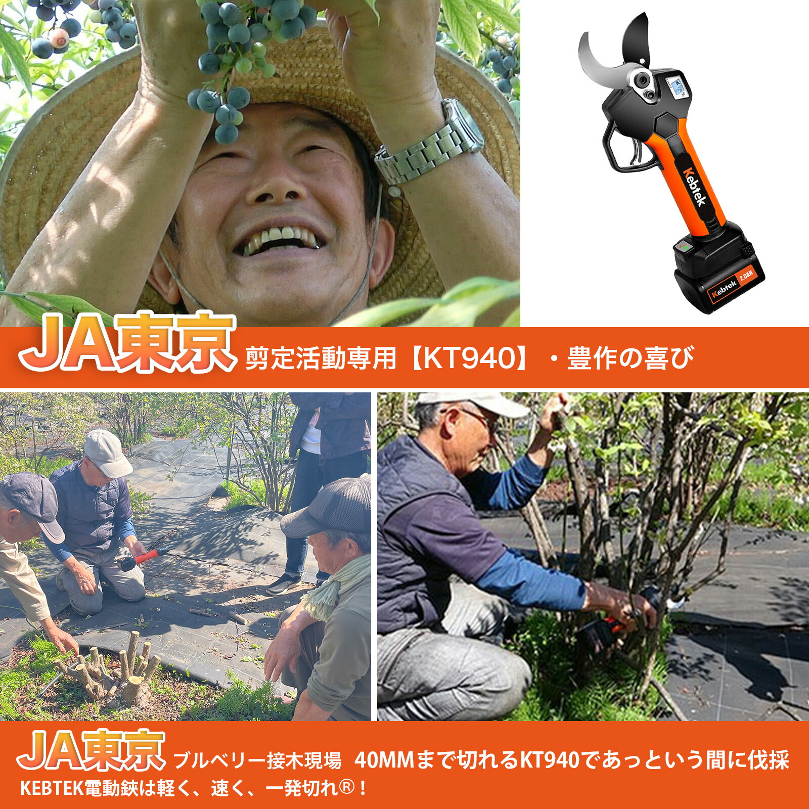 楽天市場】【切断径40mm、2.4m伸縮ポール付き】Kebtek 高枝切り電動