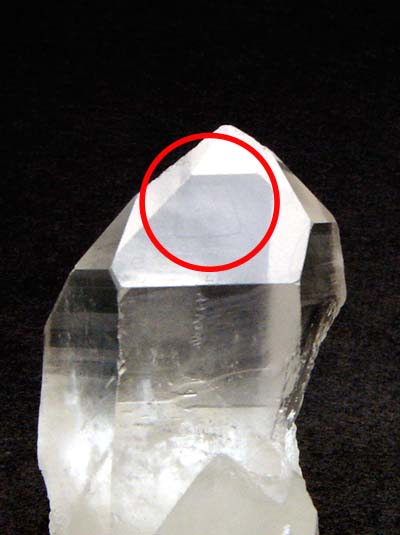 楽天市場】レコードキーパー入り レムリアンシード・クォーツ 天然水晶