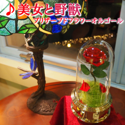 楽天市場】【美女と野獣 プリザーブドフラワーオルゴール】オルゴール