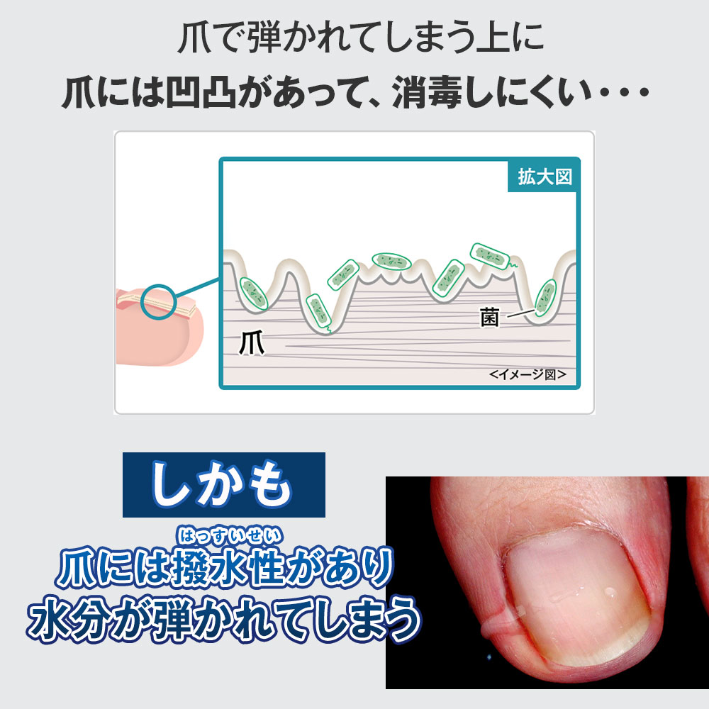 楽天市場】【10%OFFクーポン配布中】[公式]☆特別セット『クリア