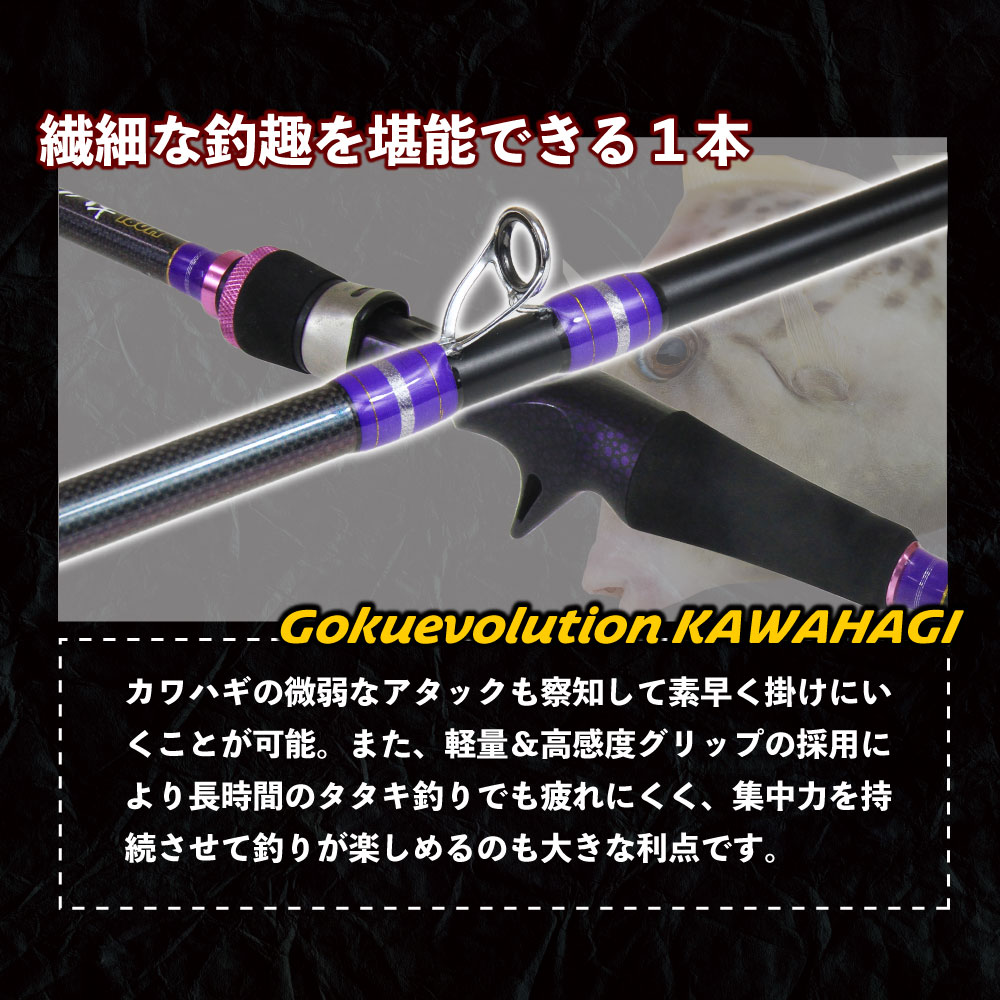 楽天市場】ゴクエボリューション カワハギ 175(10-30号)/180(20-40号