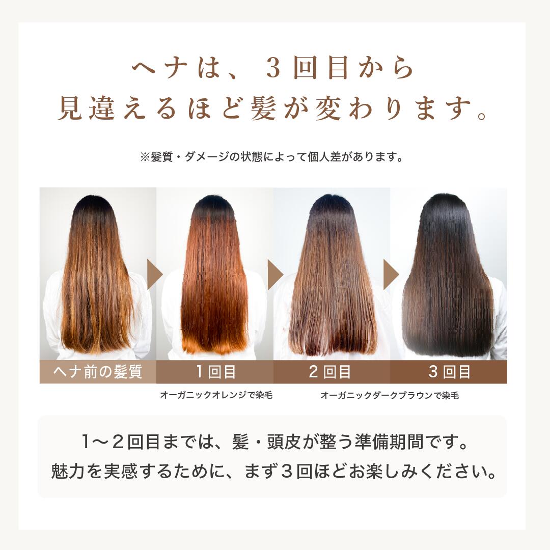 楽天市場】【楽天スーパーセール10％OFF】OSI ORGANIC ハラールヘナ