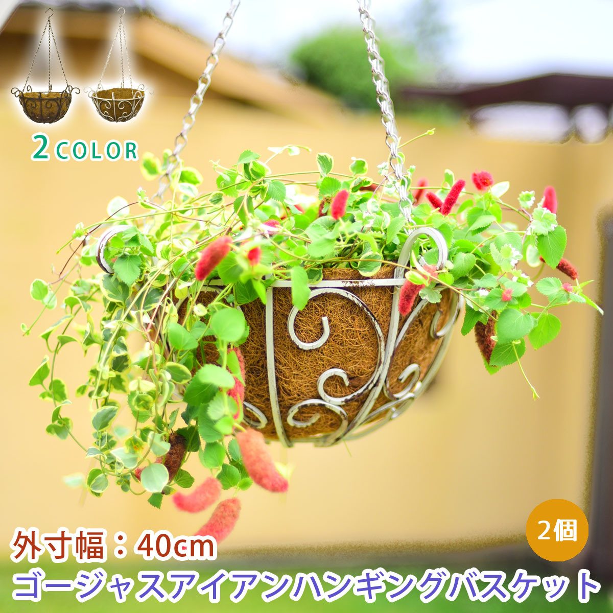 楽天市場】39対応 ゴージャスアイアンハンギングバスケット 2個セット