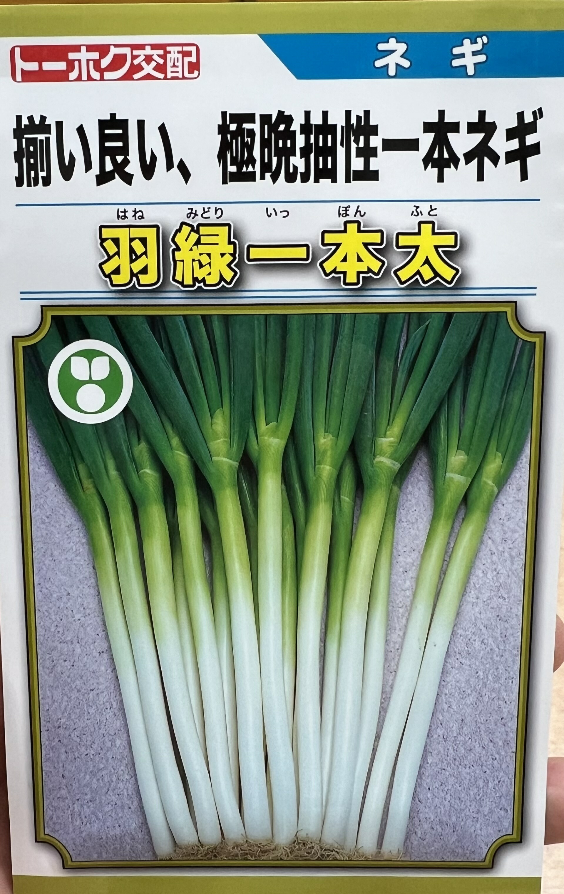 楽天市場】ネギ 種 羽緑一本太 【コート5000粒】 トーホク種苗 営利用