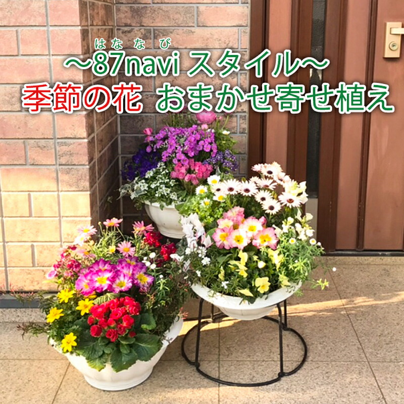 楽天市場】【誕生日】【母の日】ボリュームある「季節の花 おまかせ