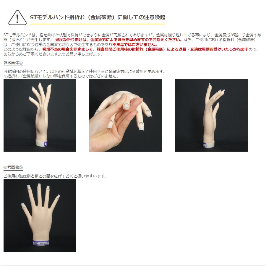 楽天市場】STモデルハンド /両手セット（JNEC 第1期認定モデルハンド