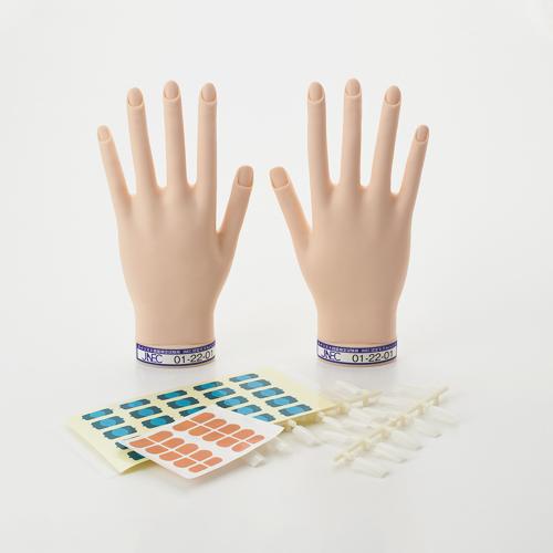 楽天市場】ハンド 検定 ネイルの通販