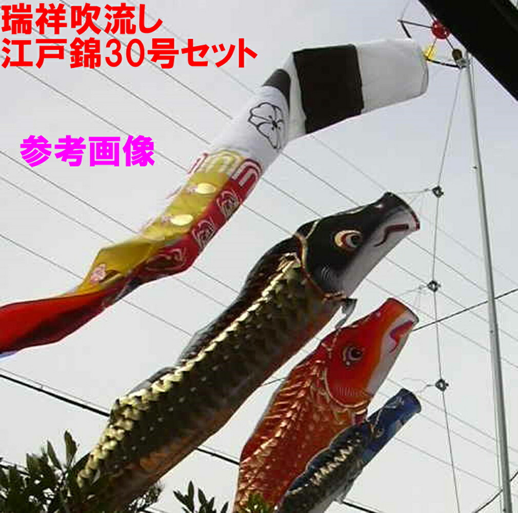 楽天市場】【送料無料】江戸錦30号鯉のぼりセット 杭打ちタイプ 江戸錦