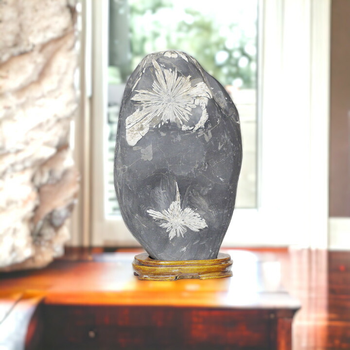 楽天市場】＼期間限定PT5倍☆28日0時〜1日23:59／ 菊花石 No.262 観賞