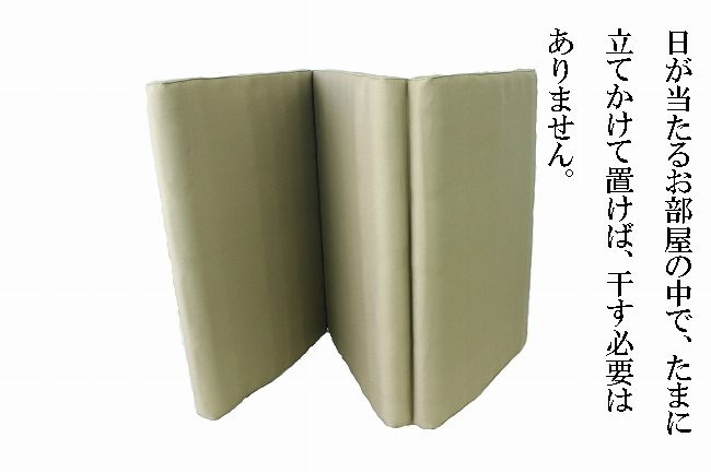 楽天市場】【ポイント20倍・シーツをプレゼント】ヘルスロール