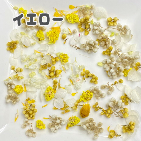 楽天市場】ドライフラワー 色別 花びら つぼみ 色々ミックス レジン