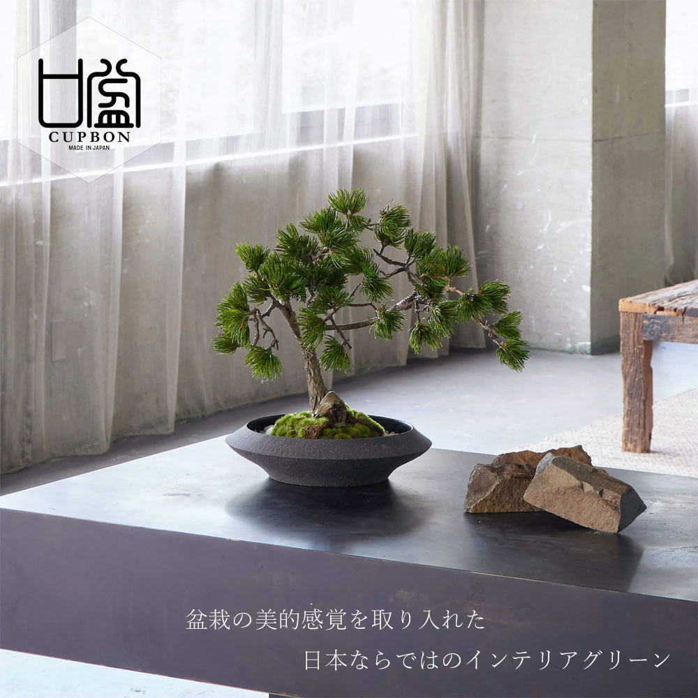 楽天市場】盆栽 松 フェイク [ 松盆栽 平皿 大 ] フェイクグリーン