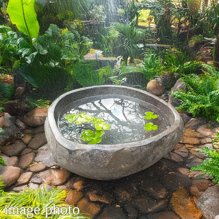 楽天市場】水鉢 石 庭園 和風 （49.5×42×15cm 23.5kg）No.20【 睡蓮鉢