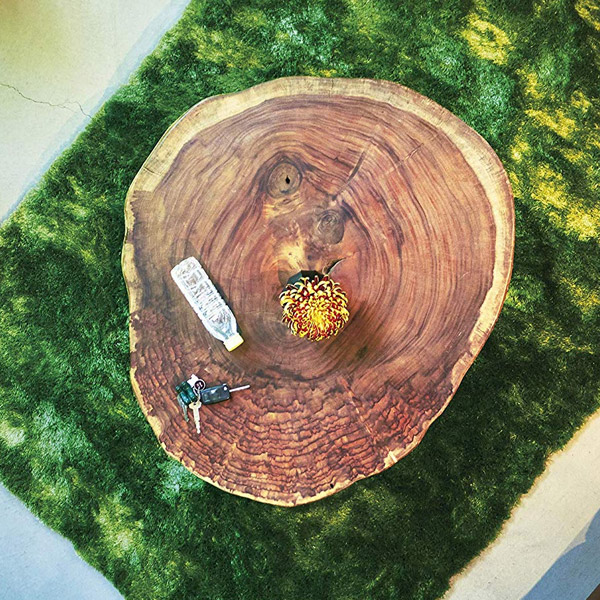 楽天市場】モンキーポッド ローテーブル センターテーブル 1枚板 木製