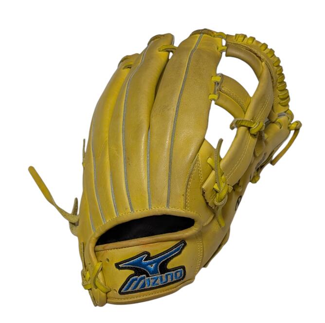 Rawlings ペドロマルティネス本人支給品刺繍入り PRO200-4JB