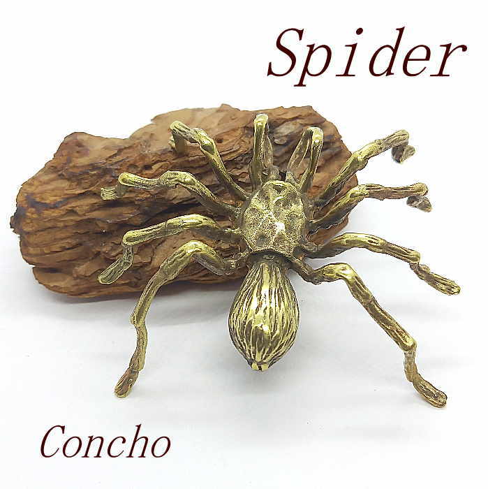 楽天市場】コンチョ 蜘蛛 スパイダー】真鍮製リアル/革細工/趣味の方も