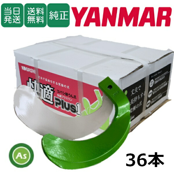 yanma-36.jpg