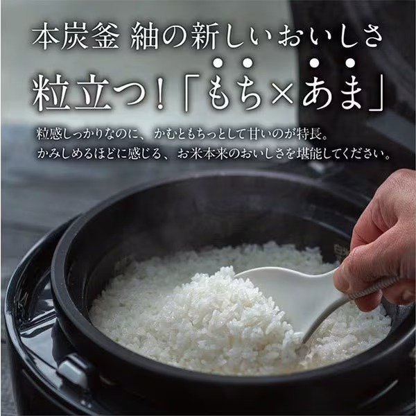 楽天市場】炊飯器 三菱電機 IHジャー炊飯器 5.5合炊き 本炭釜 紬 白
