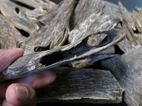 楽天市場】楽天スーパーSALE 沈香 ベトナム産高級栽培沈香【訳あり中高