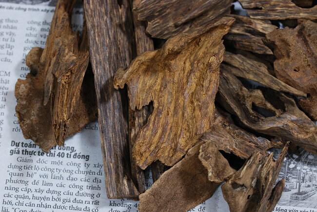 楽天市場】ベトナム産 天然沈香 高ランク甘味 5g 量り売り 沈水香木