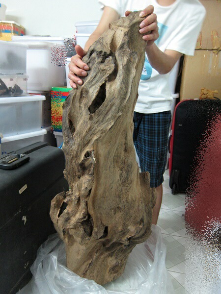 楽天市場】約28kg巨大天然沈香 大木 原木 香木 沈水香木 沈香 タイ