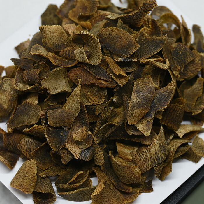 楽天市場】伽羅木の通販