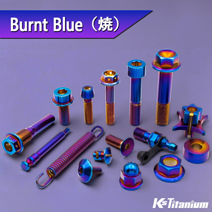 楽天市場】64チタン製 カウルボルト M6×16 （09mm×06mm段付き） P1.0