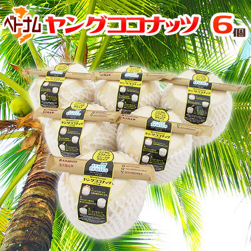 楽天市場】ベトナム産 ”ヤングココナッツ” 6個 ヤシの実/椰子の実