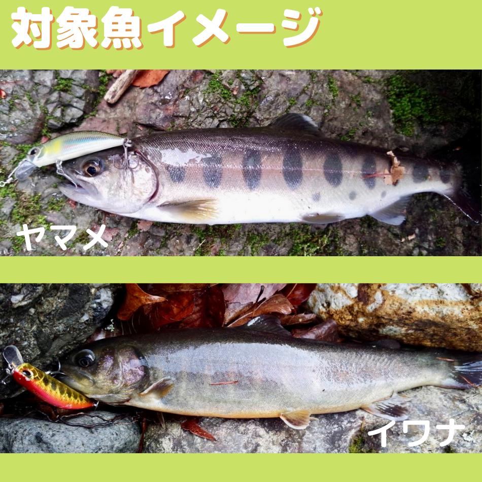 楽天市場】【SALE10%OFF】渓流 ルアー セット 15種類全買いセット