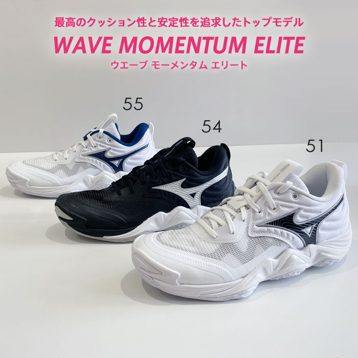 楽天市場】バレーボールシューズ ミズノ メンズ レディース ウエーブ