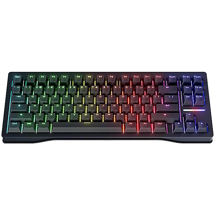 楽天市場】Wooting(ウーティン) / Wooting 80HE ANSI配列［PCR Plastic