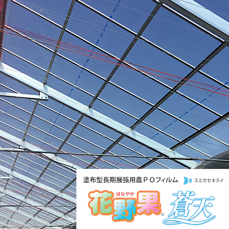 楽天市場】農業用POフィルム 花野果蒼天 / 花野果蒼天UVロング / 花野