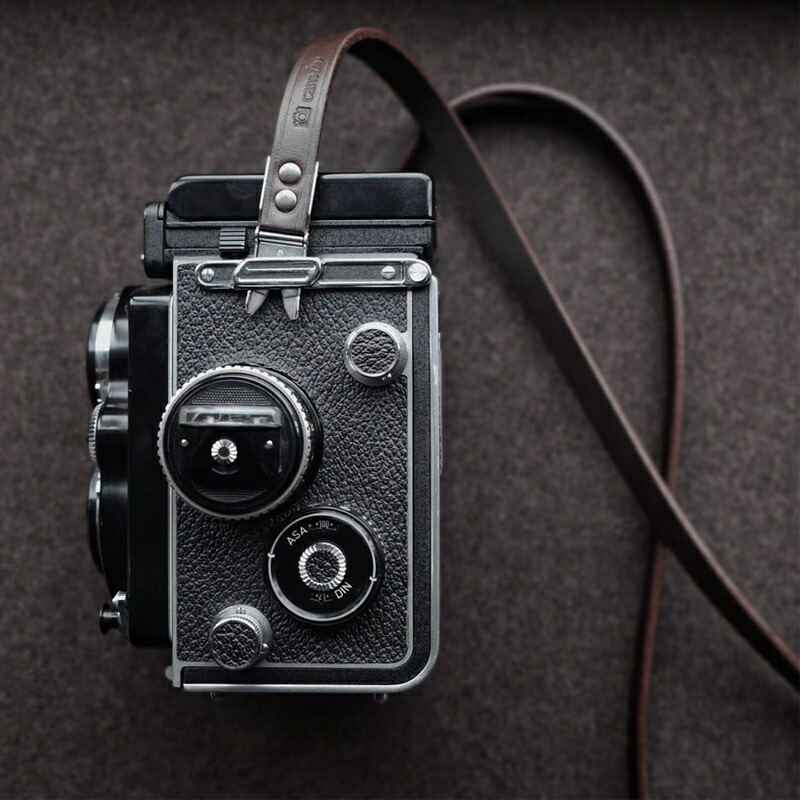 楽天市場】【P2倍！SS】【楽天ランキング1位】【送料無料】cam-in カニ