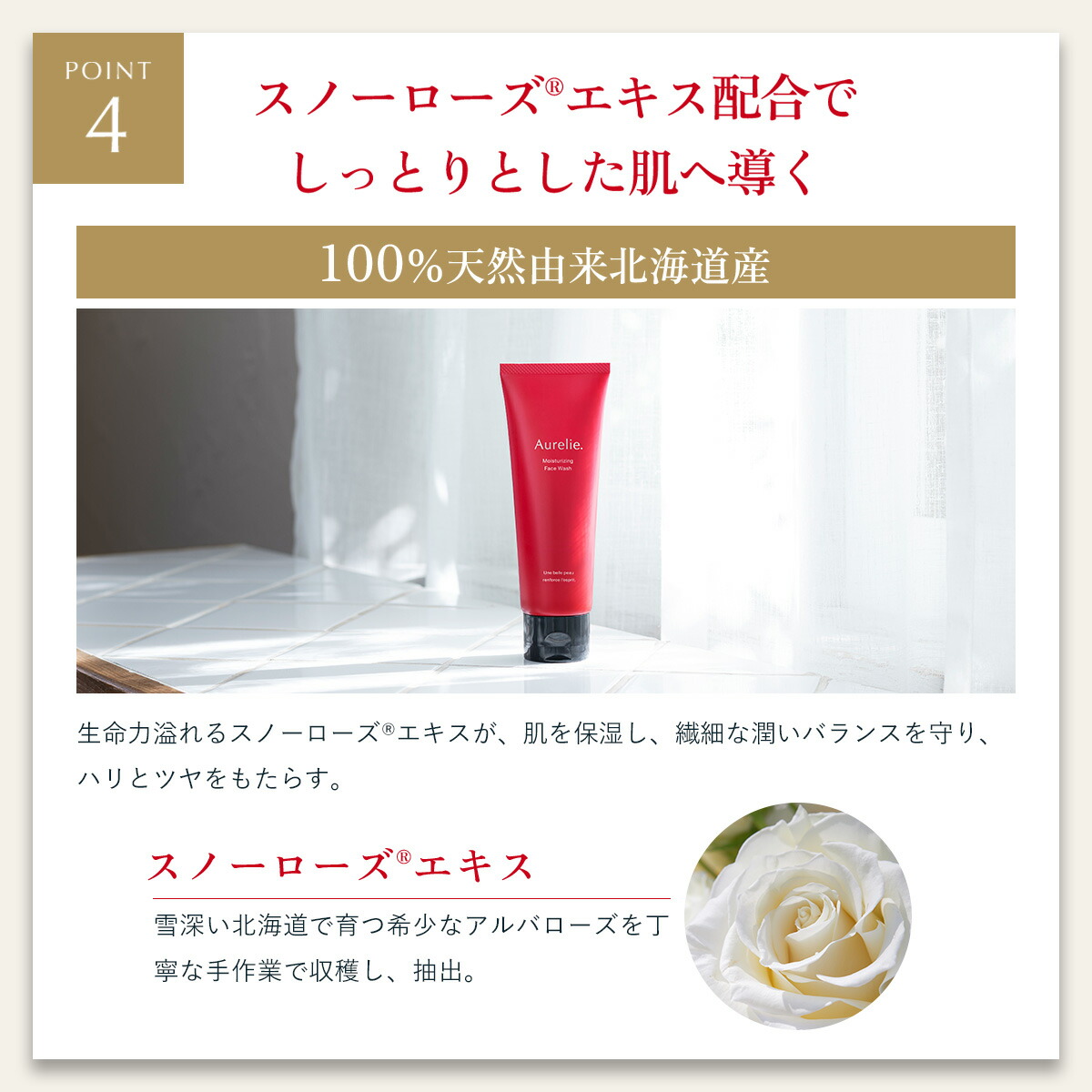 楽天市場】【SS☆20%OFFクーポン】モイストフェイスウォッシュ【MEGUMI