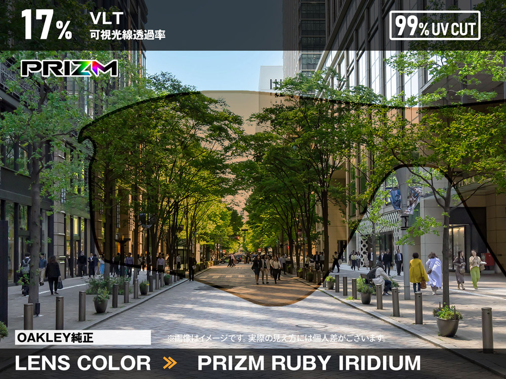 楽天市場】オークリー FROGSKINS SUNGLASS フレームのみ アジアン