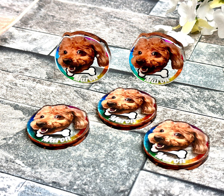 楽天市場】【10個セット】 うちのペット♪ フェイス 名入れ アクリル