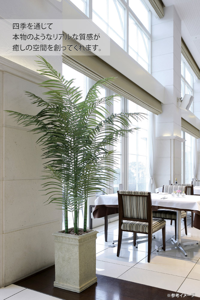 楽天市場】【スーパーSALE10％OFF】光触媒観葉植物 フレッシュパーム