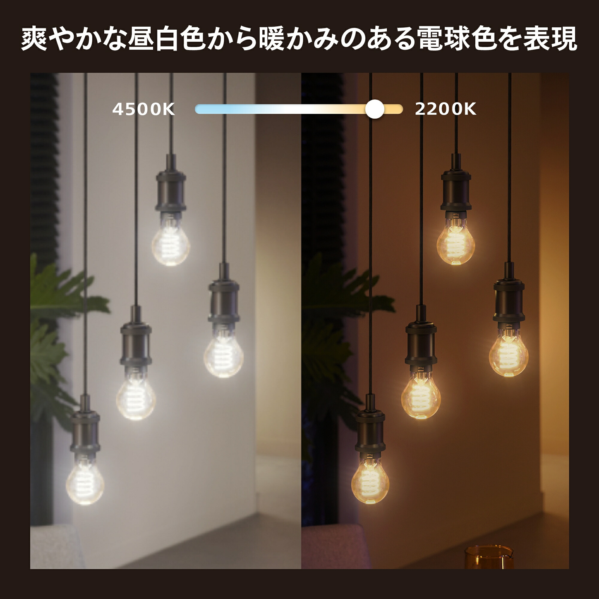 楽天市場】【公式】Philips Hue スマート電球 ホワイトグラデーション