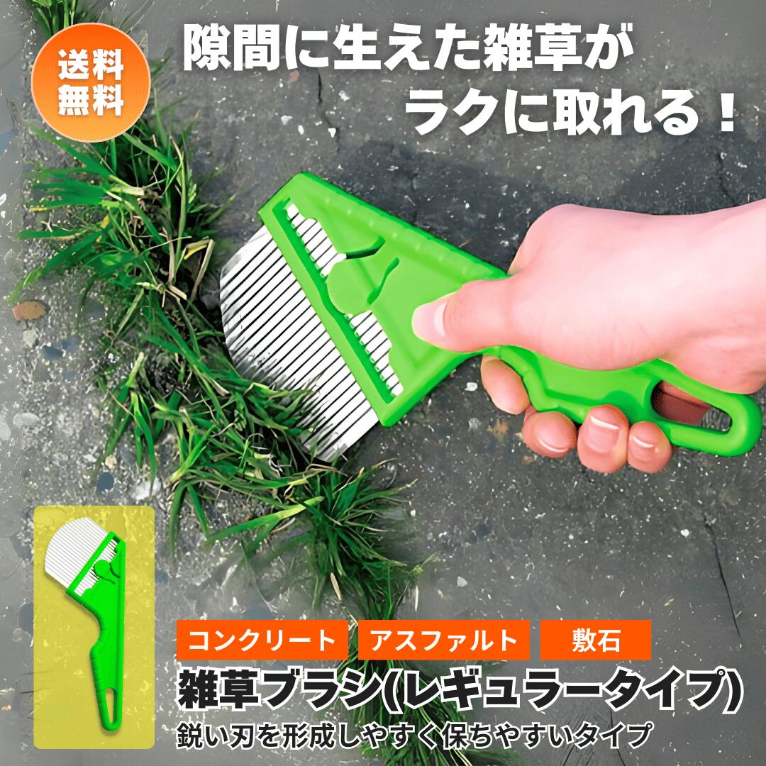 楽天市場】【楽天スーパーSALE】SNSで話題の人気アイテム！レギュラー