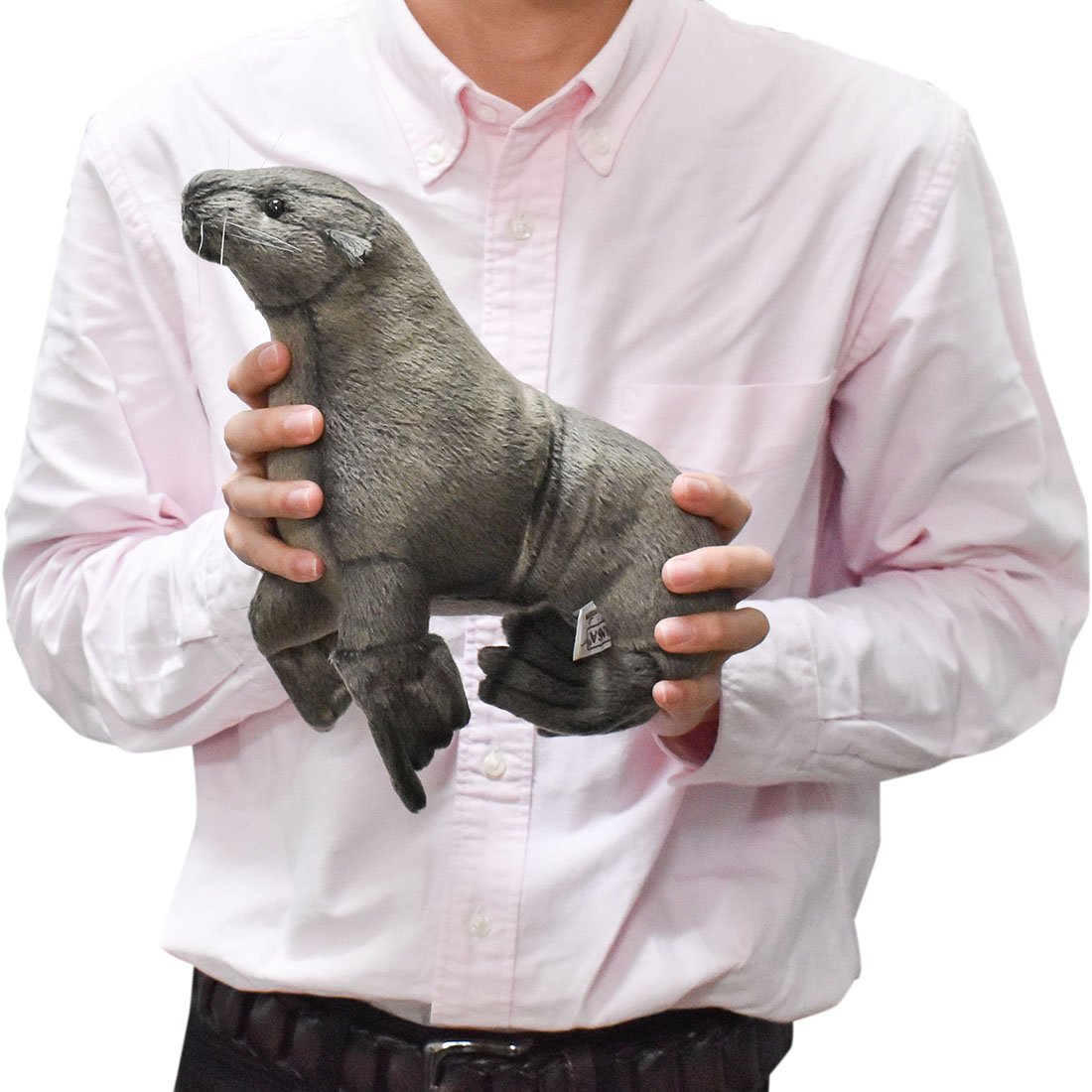 楽天市場】HANSA オットセイ21L21(cm) 3658 ぬいぐるみ ハンサ