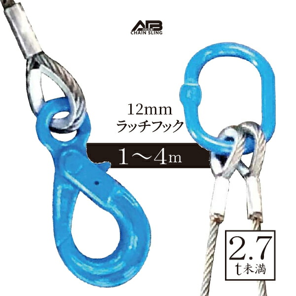 楽天市場】2点吊りワイヤースリング[ラッチフックセット] 12mm 使用