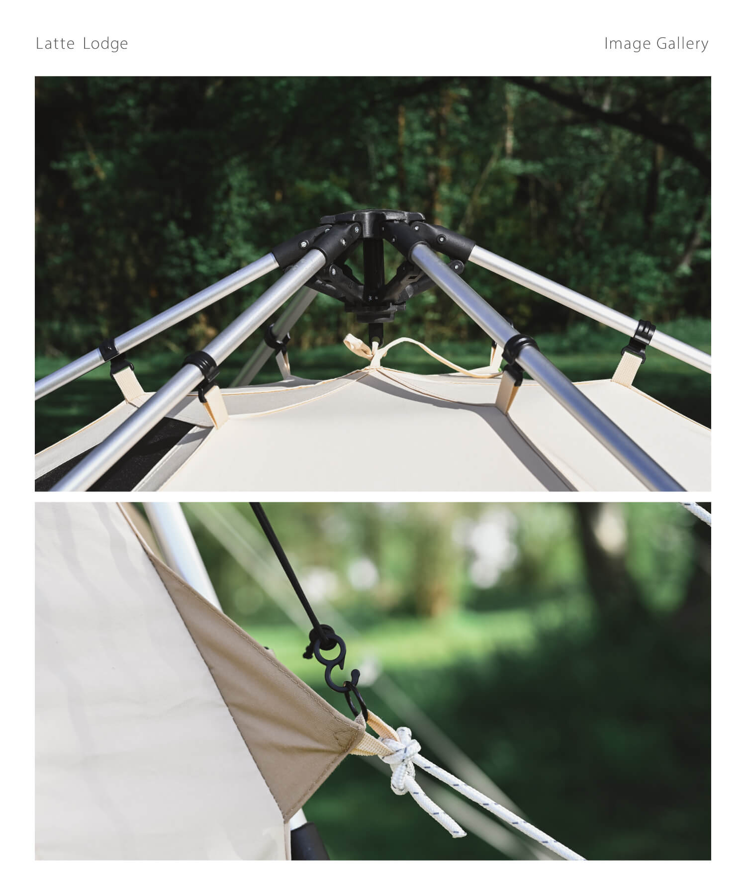 楽天市場】【S'more / Latte Lodge 】 ラテロッジ TCテント スモア